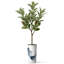 Arbre artificiel en fleur noire et blanche-104345537