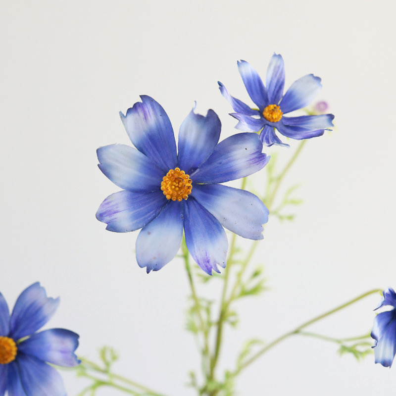 Real Touch Cosmos Faux Floral, Blue