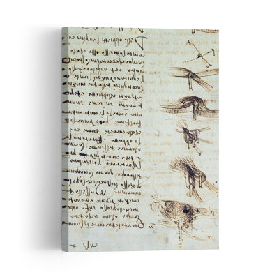 Scientific Diagrams, From The Codex Leicester, 1508-12 Abstract Contemporary Wall Art Print