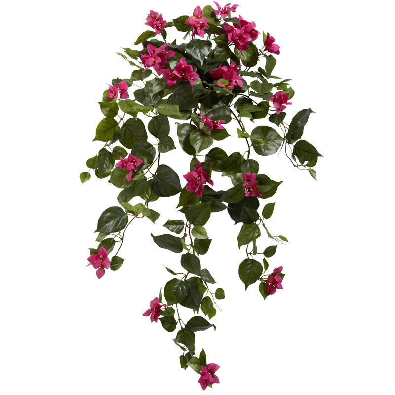 Floraison artificielle, Beauté