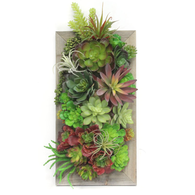 Faux Succulent Plant