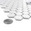 Metro 0.90" x 0.90" Hex Porcelain Mosaic Tile