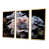 Gold Floater Framed selected