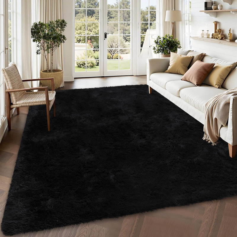 Black Washable Shag Area Rugs Non-Slip Fluffy Shag Plush Fuzzy Shaggy Rug for Living Room, Bedroom, Home Decor