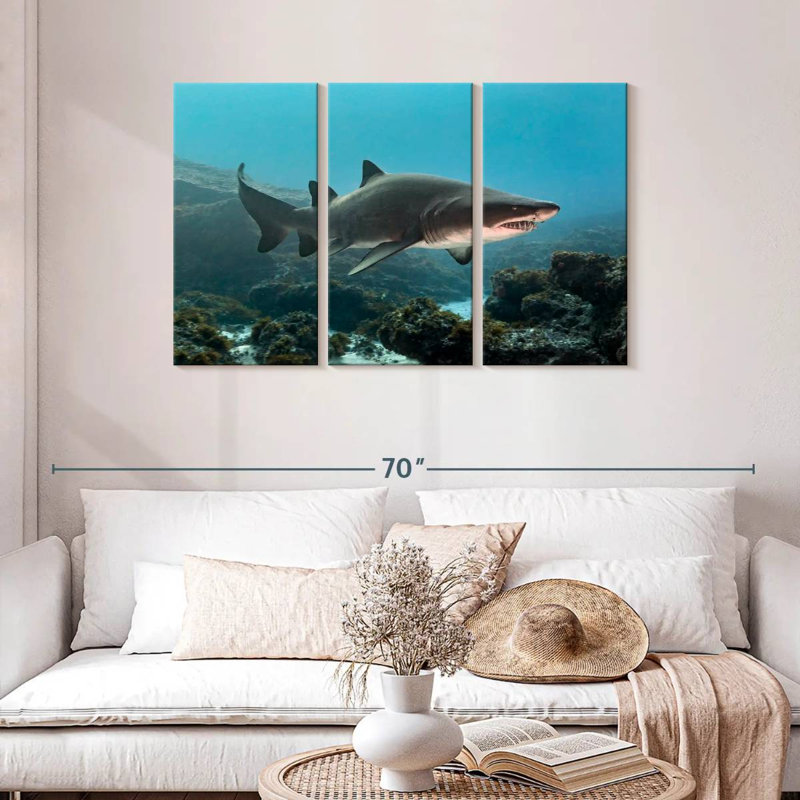 Aliwal Shoal Shark, H 28 po x l 45 po