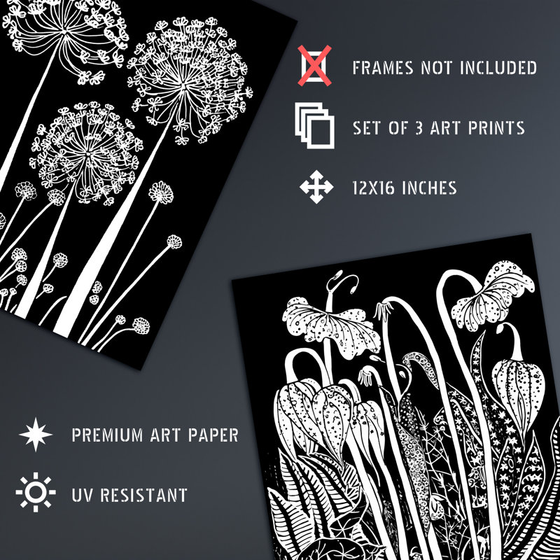 Elegant Allium And Arisaema Flowers Artwork White On Black - 3 Piece No Frame Print Set, 40.5cm H x 30.5cm W x 0.3cm D