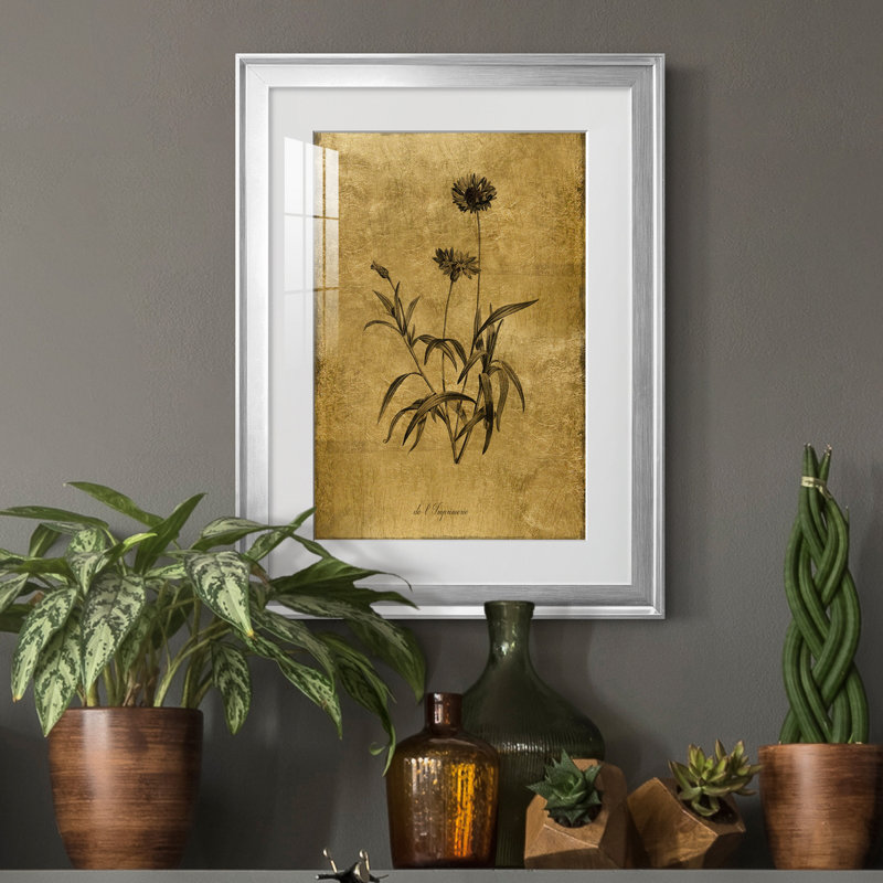 Croquis doré Botanique I - Cadre photo, reproduction d'art sur papier, H 24,5 po x l 18,5 po x P 1,5 po, Argent