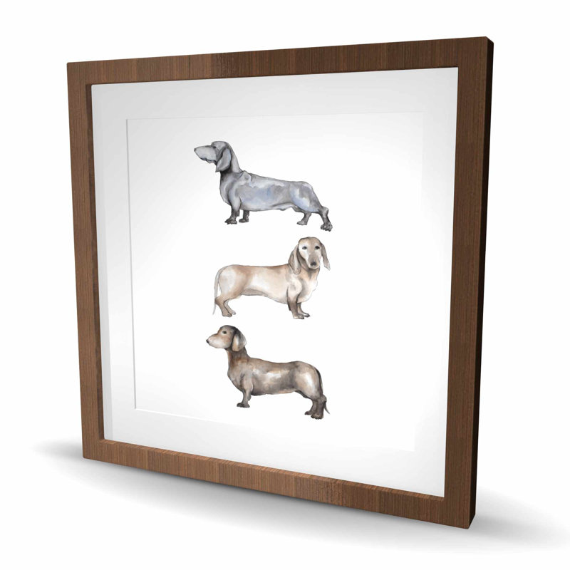 Petit chien teckel - reproduction encadrée mate pour la décoration intérieure