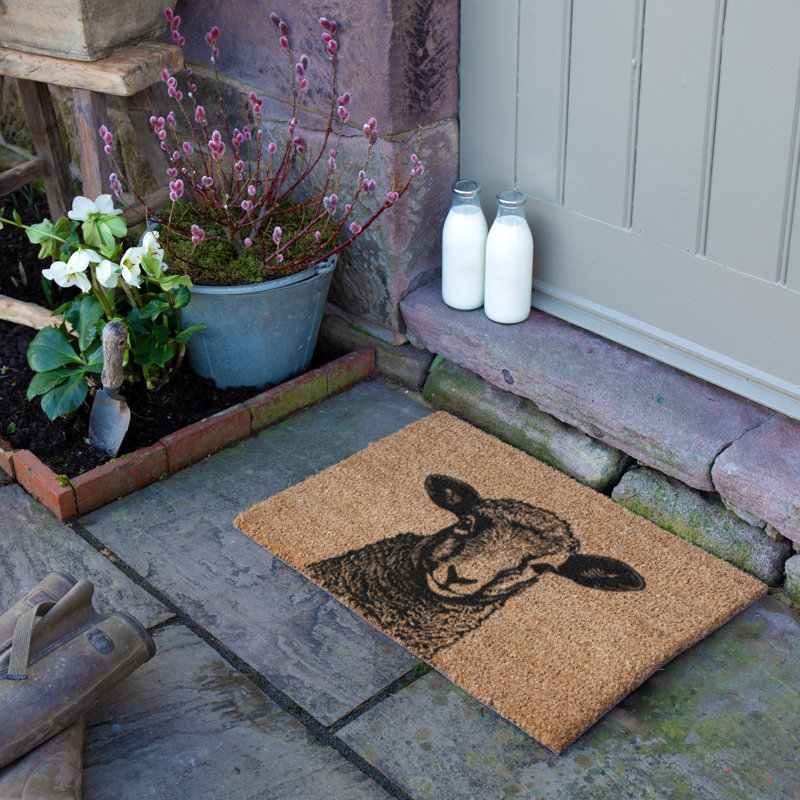 Non-Slip Doormat, 40cm W x 60cm L
