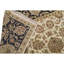 Wool Oriental Area Rug in Ivory