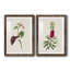Pretty Pink Botanicals VI - Ensemble de 2 reproductions de cadres photo-1481787736-1481787809