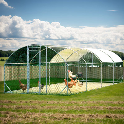 Poulailler en métal 13/19 / 26pi, cage de clôture avec porte imperméable et anti-UV verrouillable