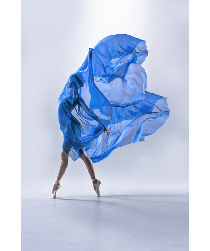 Wrapped Canvas Print, 60.96 cm H x 91.44 cm W
