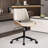 Drazen Faux Leather Office Task Chair with Bentwood Back -72251067