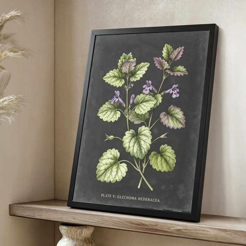 Illustration moderne à base de plantes abstraites: Glechoma hederacées avec fleurs mauves, style imprimé botanique. Toile encadrée 24 "x 36" avec cadre en bois noir