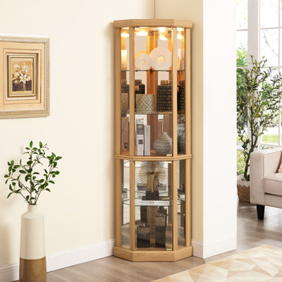 Vitrine lumineuse pour présentoir - Panneaux de dossier en miroir, chêne, élégante avec tablettes réglables éclairées, profondeur et largeur de 16,4 po