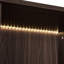Vitrine lumineuse à DEL avec porte en verre. Moderne pour le bureau personnel. Pieds en métal, matériau. 4 tablettes réglables, 2 tiroirs de rangement, lumières trempées noires et noyer foncé. Maison minimaliste. .-1097734478