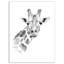 Girafe en noir et blanc - reproduction d'art sur toile tendue-29495845