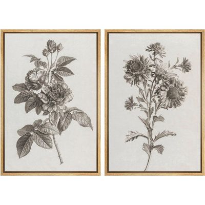 Élégance florale, rose et tournesol, botanique classique, nature sauvage, illustrations, décor rustique