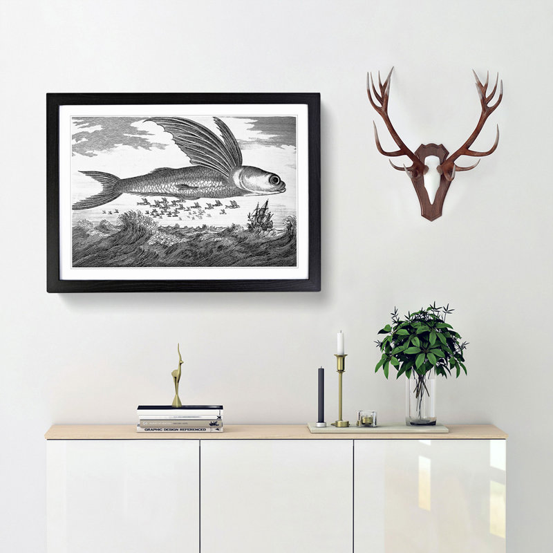Flying Fish by Thomas Astley - Picture Frame Drawing Print, 36cm H x 48cm W x 2cm D, Black Framed