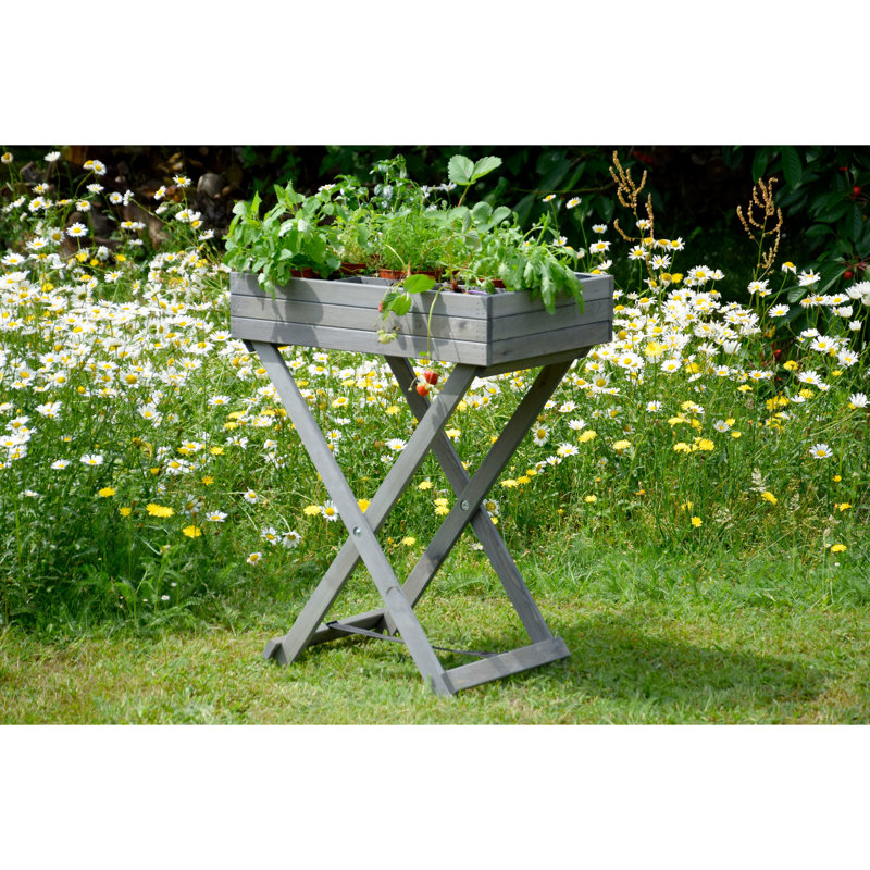 Diaundra Wood Elevated Planter
