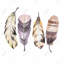 Ensemble de plumes mauves - impression d'oiseau encadrée pour la décoration intérieure-942573910