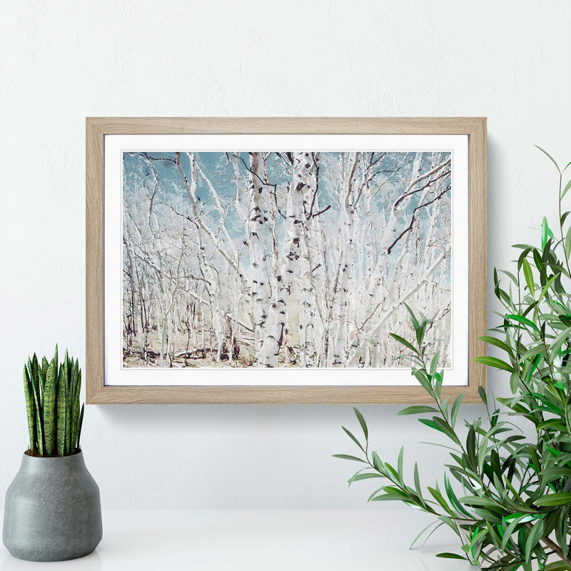 Birch Trees in Utah in Abstract - Picture Frame Graphic Art Print, Oak Framed, 27cm H x 36cm W x 2cm D