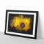 Yellow Coneflowers - Framed Print-56842444-56842445
