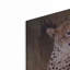 Art mural en métal «Wildness Cheetah» par Karen Smith-87578919