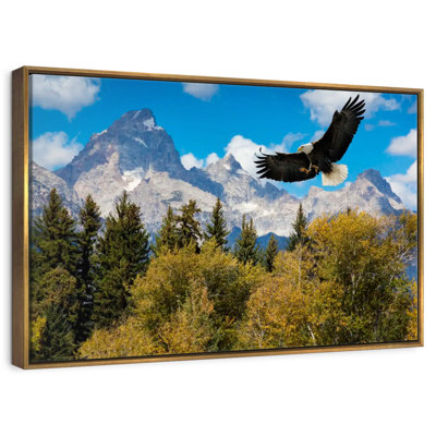 Grand Teton Eagle