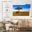 Brampt, savane, girafes d'Afrique-108818696