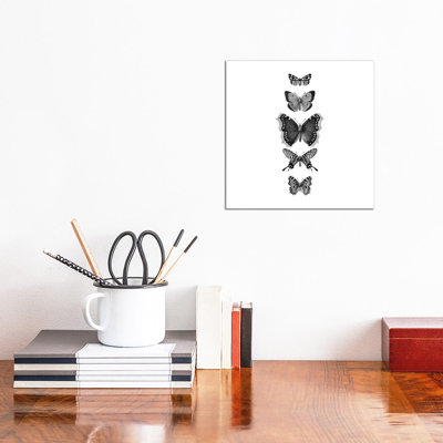 Inked Butterflies Black And White Square by Monika Strigel - Wrapped Canvas Print