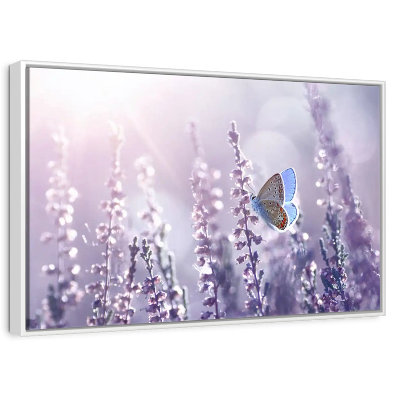 Lavande, Cadre flottant blanc, 13 po x 9 po