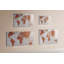 Magnetic Glass Dry Erase Board