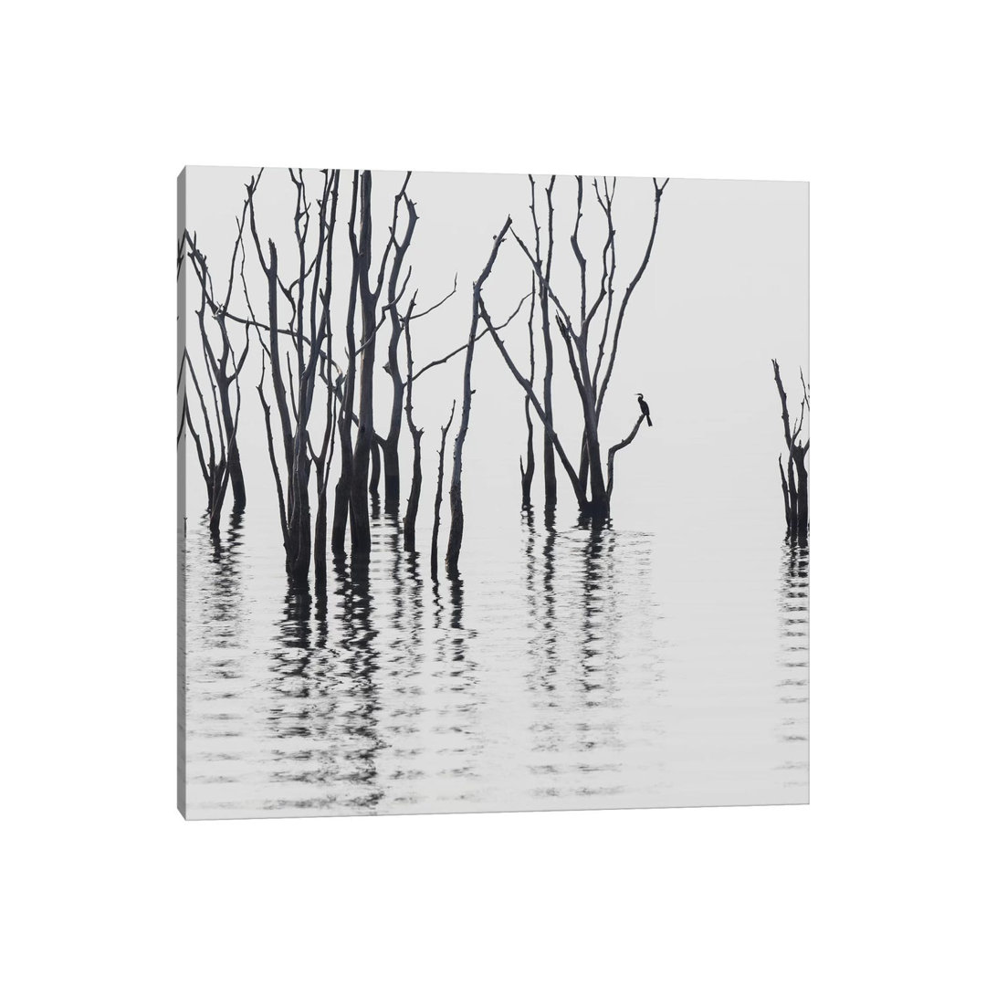 Africa, Zimbabwe, Matusadona National Park. Reflections On Lake Kariba. by Jaynes Gallery - Wrapped Canvas Painting