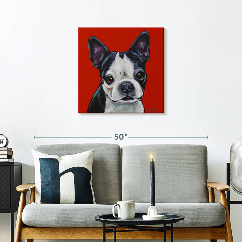 Brampt Sophie Boston Terrier sur fond rouge, H 24 po x l 24 po