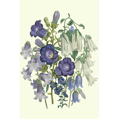 Loudon Florals I
