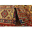 Tapis rouge Pascoe