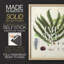Collection de fougères collectées, reproduction encadrée - bois massif-915722342
