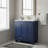 30" Bathroom Vanity Cabinet With Blue Finish, Ceramic Sink & Ample Storage