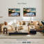 Maui, baie de Makena, Borasisi-1825958685-1825958672