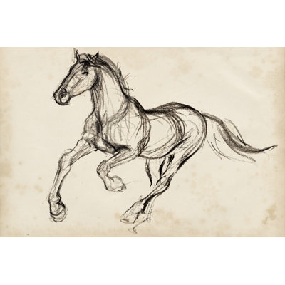 Gestural Appaloosa I by Jennifer Paxton Parker - Drawing