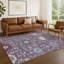 Tapis traditionnel lavable à la machine intérieur / extérieur ACN2609-2094464578-2094464579