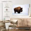 Bison Brampt-108869770