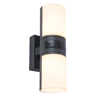 Vanagan Anthracite Integrated LED Outdoor Armed Sconce