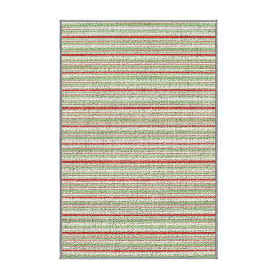 Striped Indoor Rug