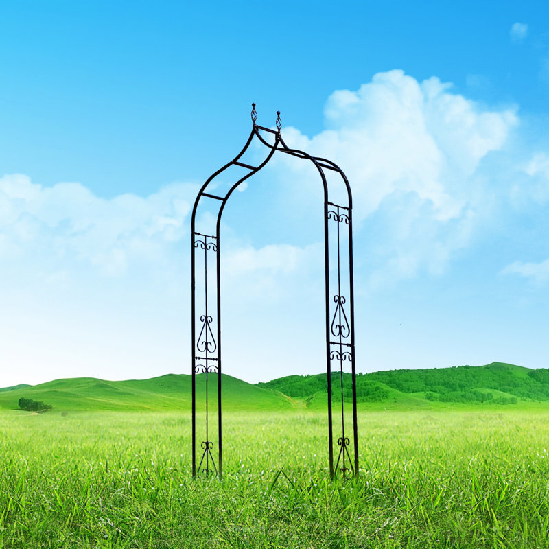 98'' H x 10'' W Iron Arched Trellis