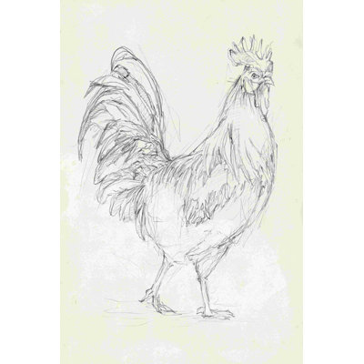 «Rooster Sketch I» par Ethan Harper - reproduction d'art sur toile tendue