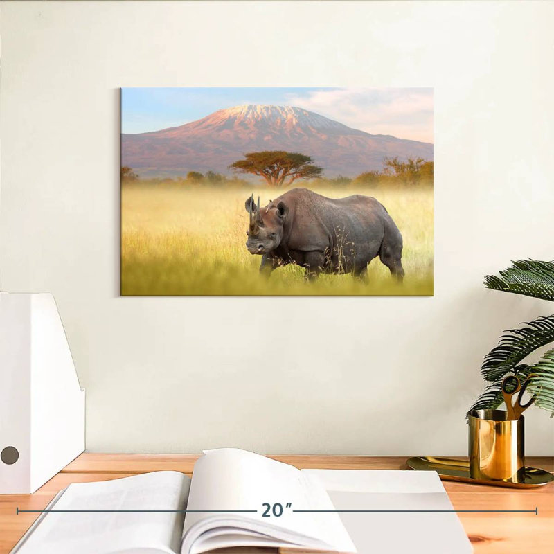 Rhinocéros Hosking Amboseli
