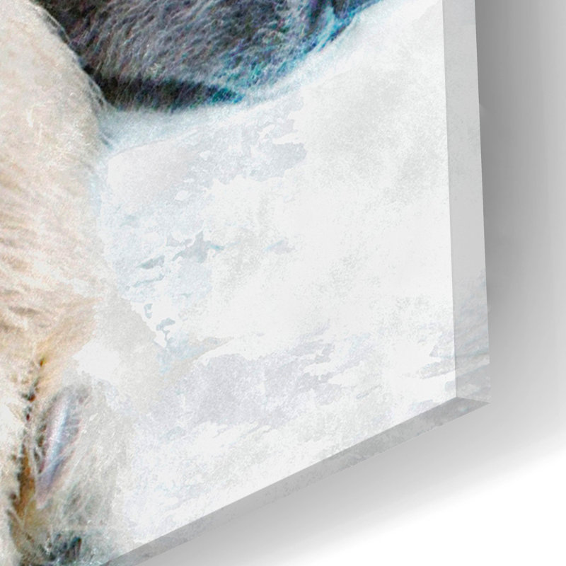 "Sleepy Polar" par Murray Henderson Fine Art, H 12 po x l 24 po